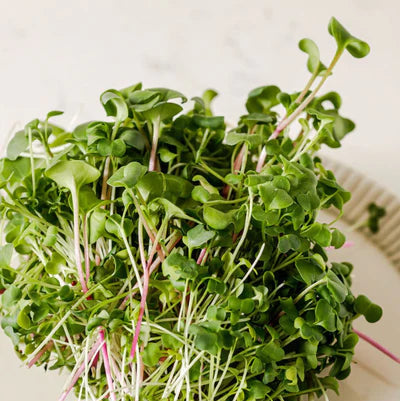 Hunters' Dale Microgreens - Microgreens (50g)