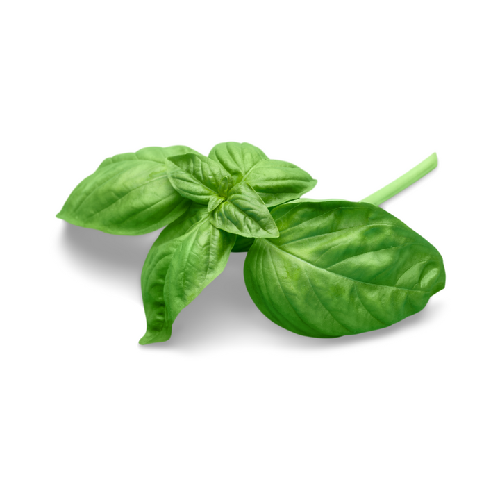 Roots Organic - Fresh Herbs