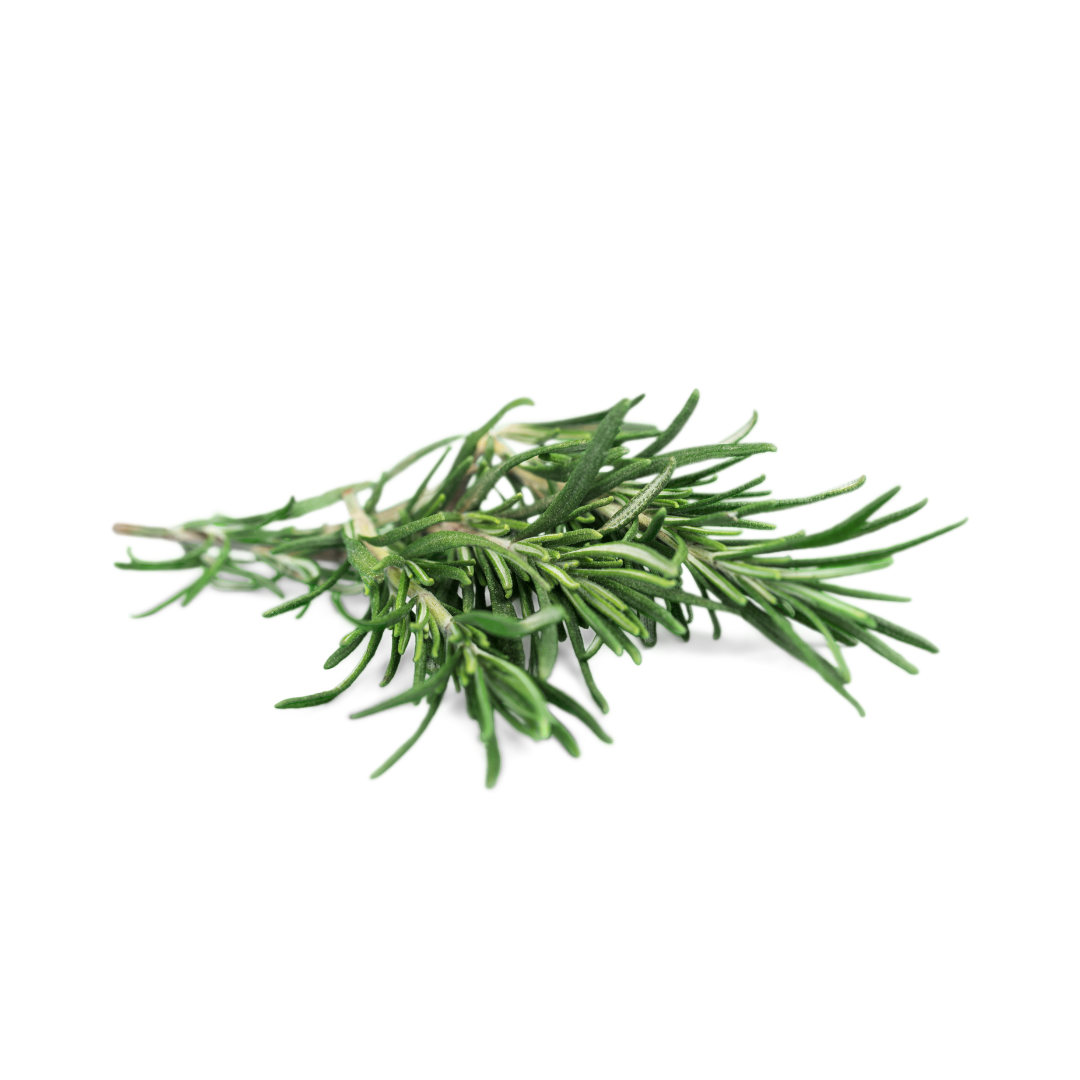 Roots Organic - Fresh Herbs