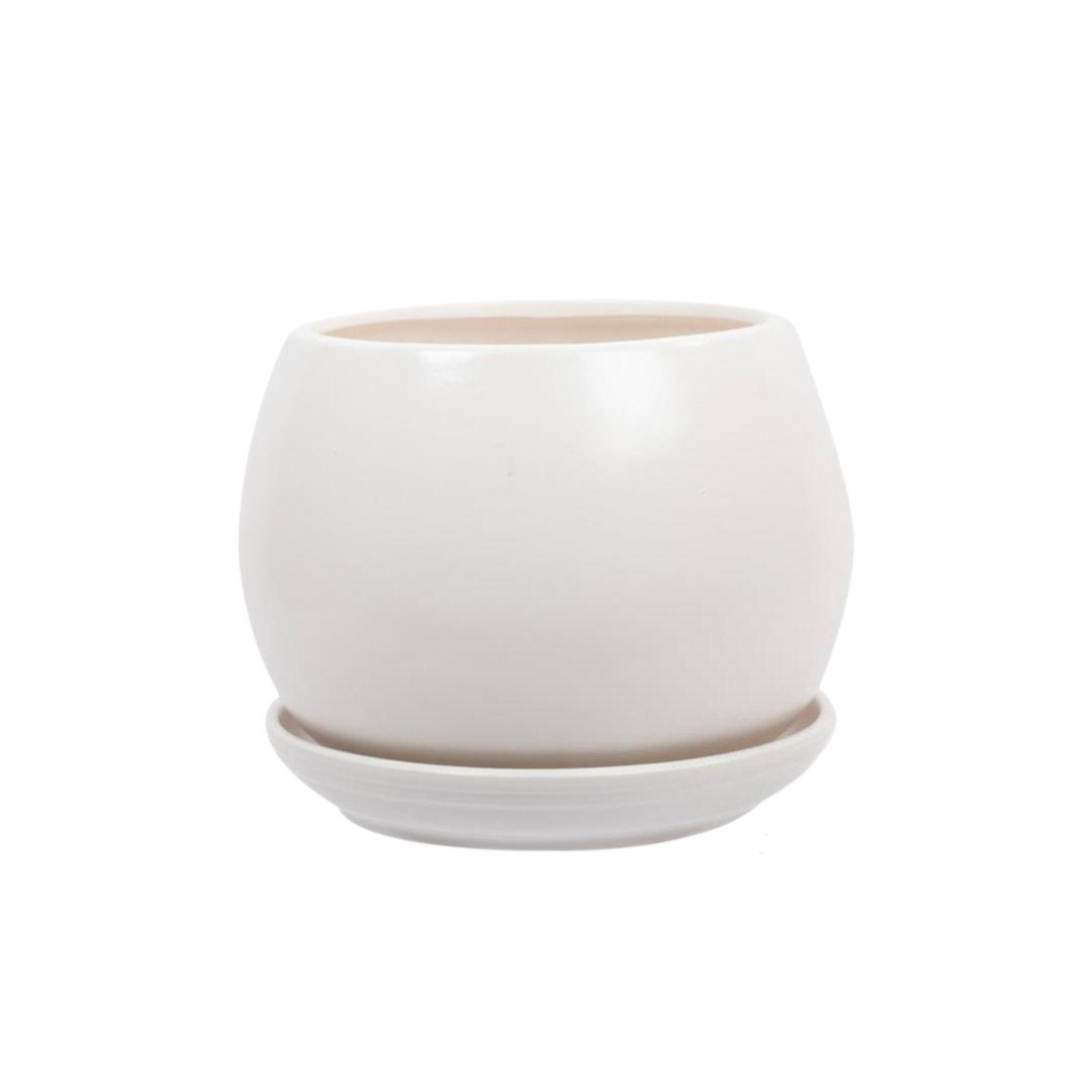 Provisions Market – Matte Ceramic Planter 6"