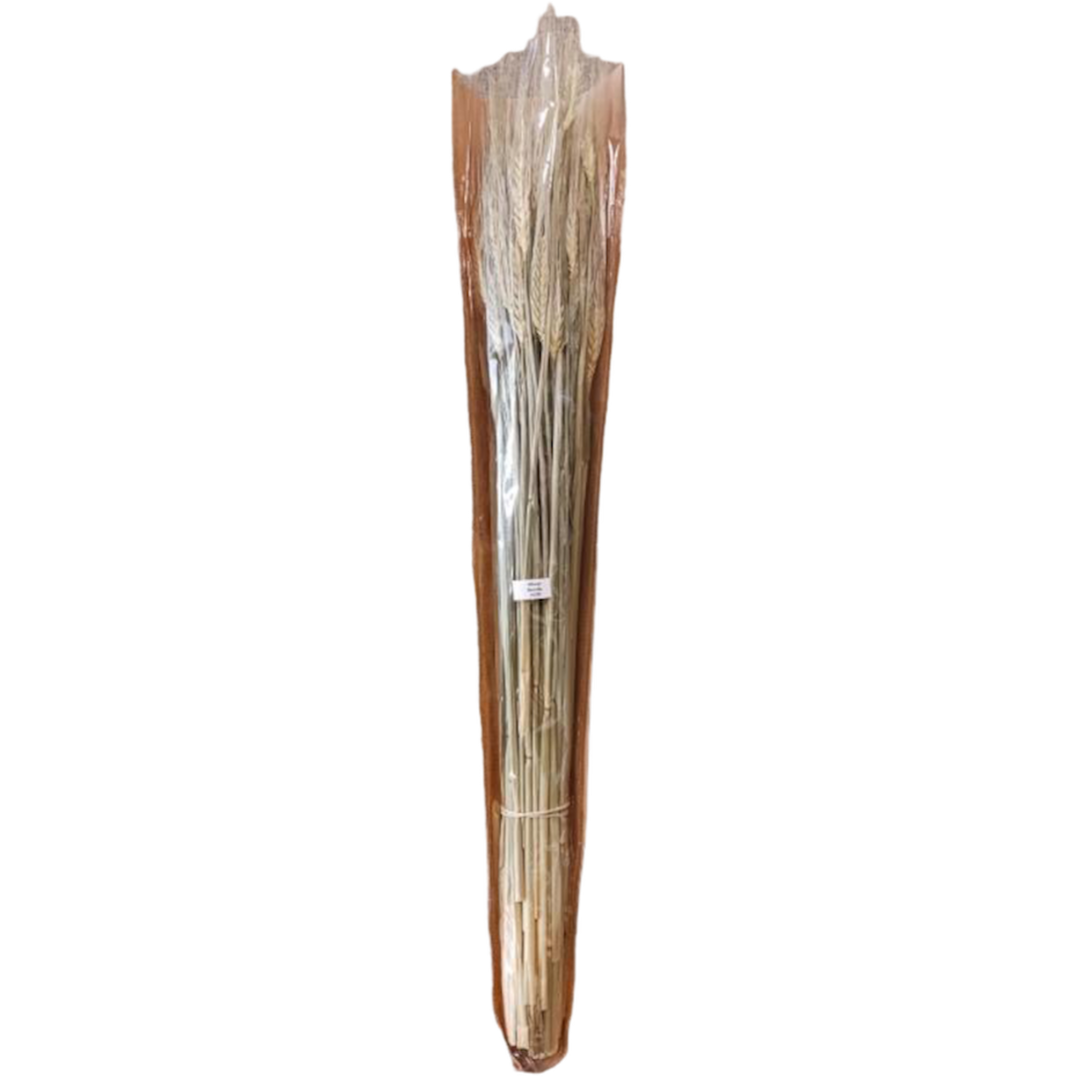 Local World Gardens - Dried Wheat Bundle
