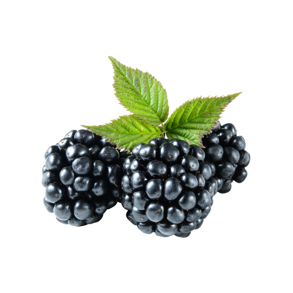 Fresh Produce - Blackberries (Clamshell)