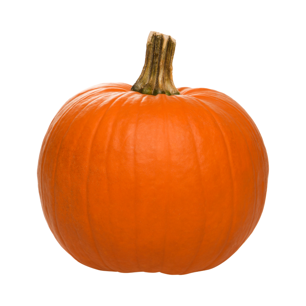 Lepp Farm - BC Grown Pie Pumpkins per LB