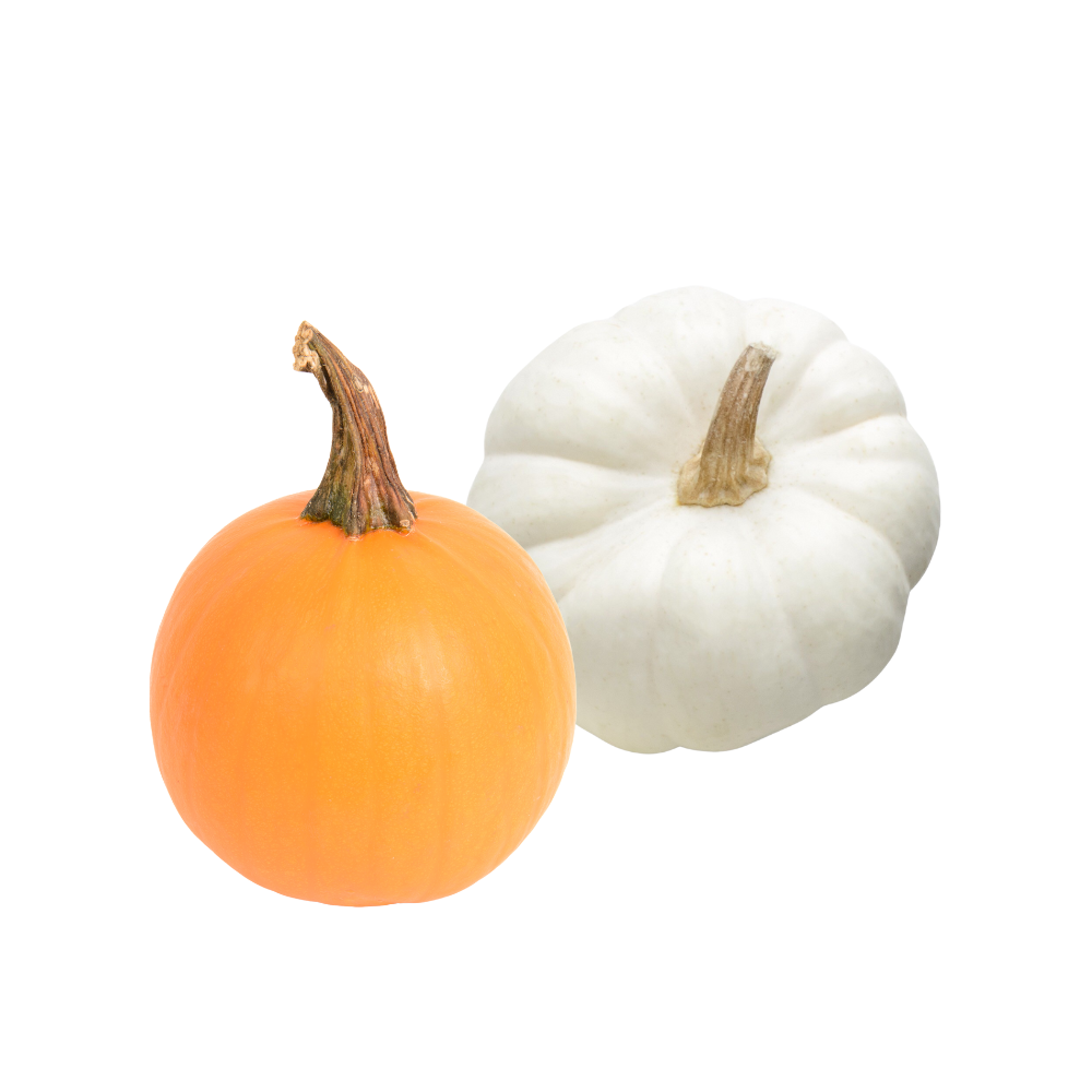 Lepp Farm - BC Grown Mini Pumpkins (per lb)