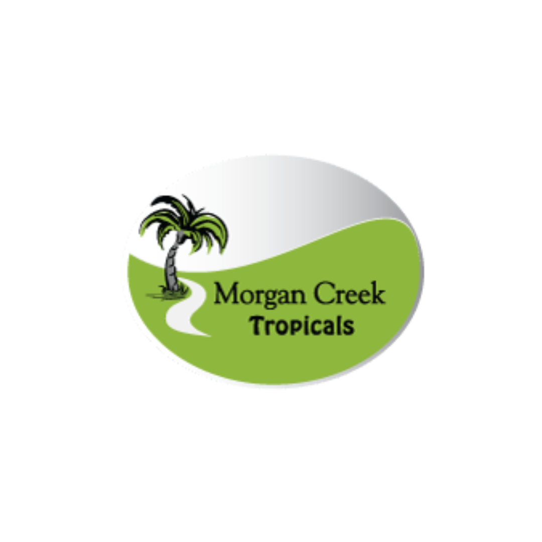 Morgan Creek Tropicals