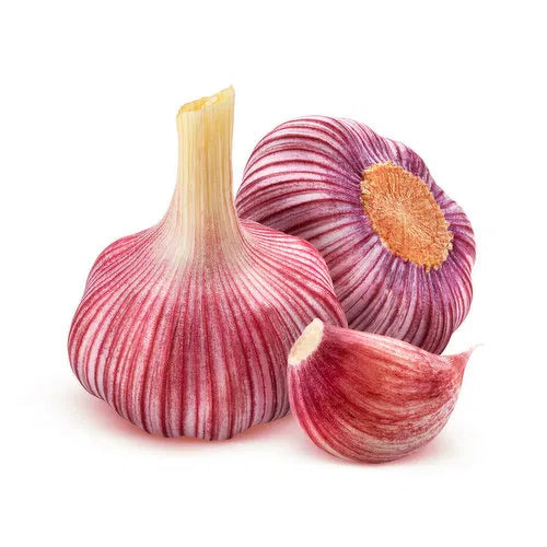 Fresh Produce - Red Russian Garlic (each)