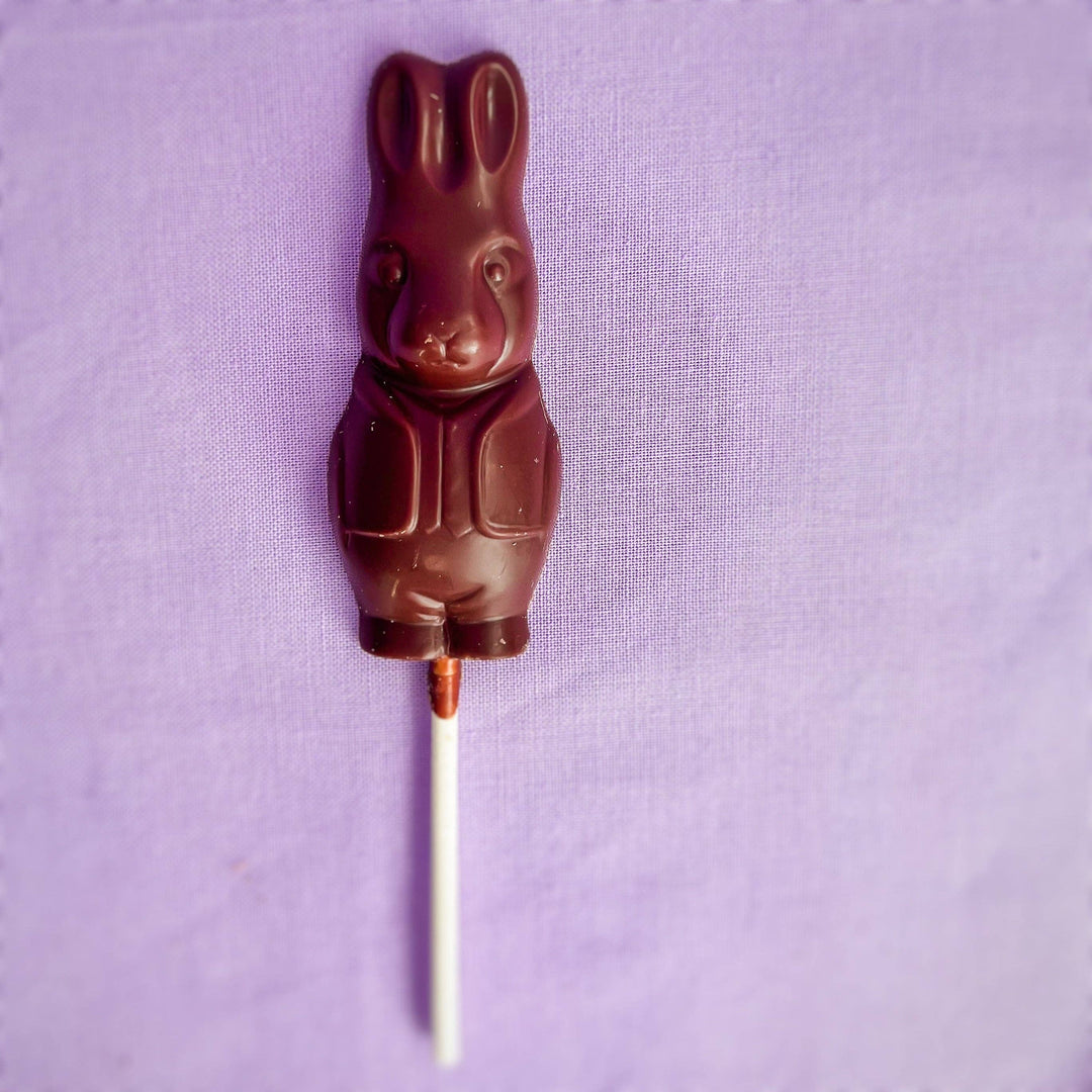 Mr. Bunny Easter Chocolate Lollipop