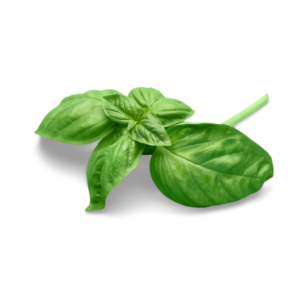 ARocha Farm - Basil (per bunch)