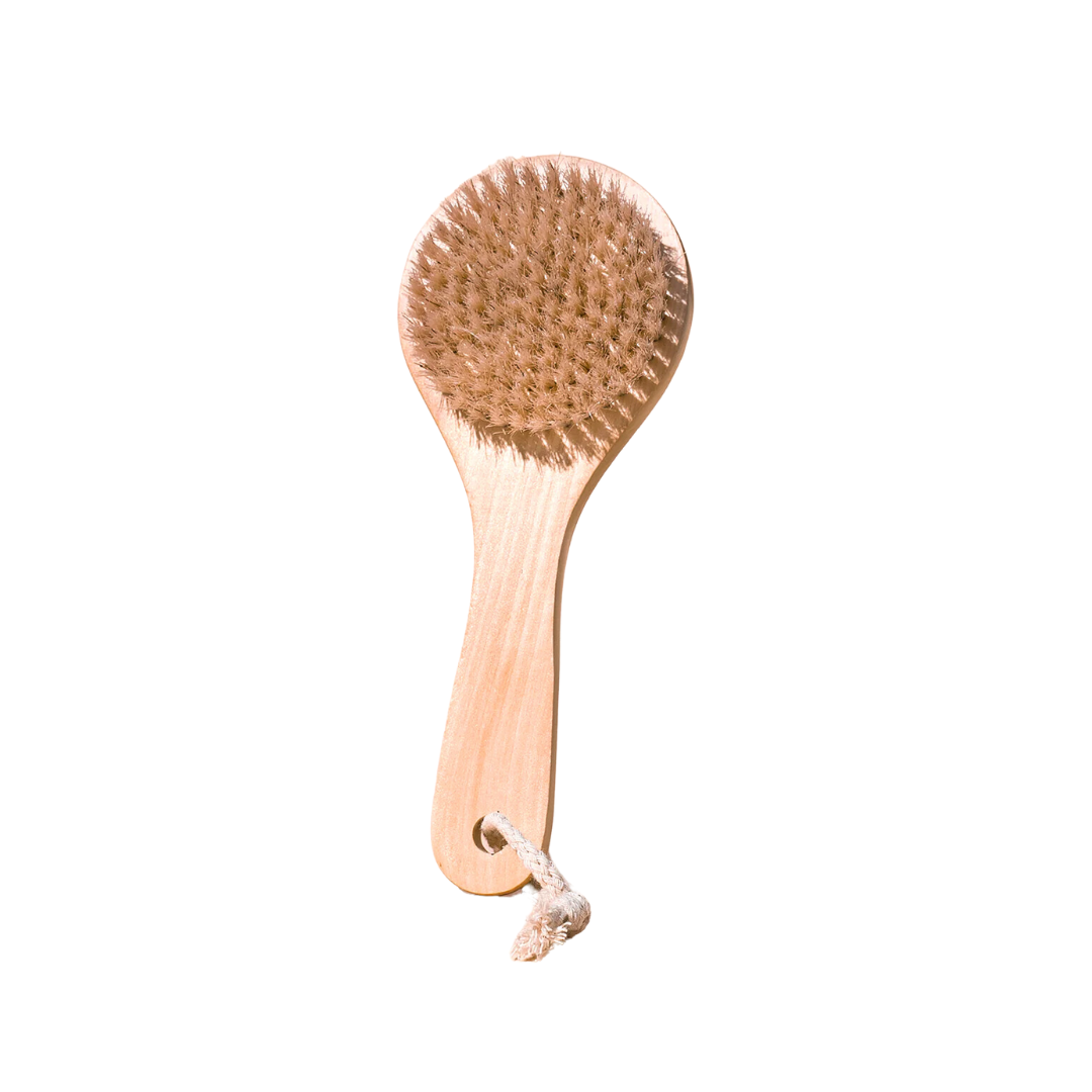 Midnight Paloma Botanicals - Body Dry Brush