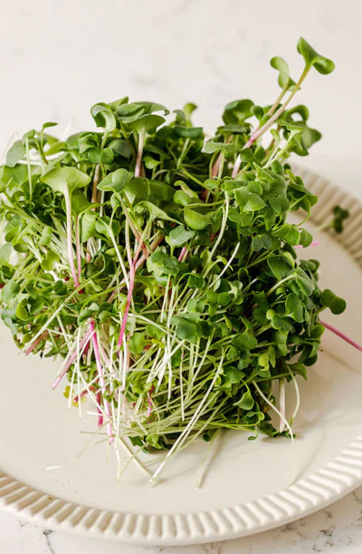 Hunters' Dale Microgreens - Microgreens (50g)