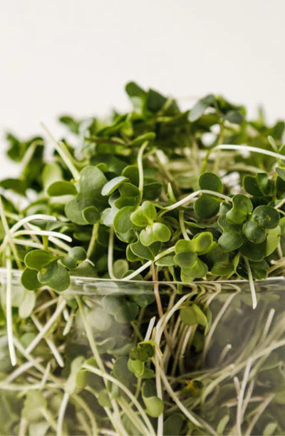 Hunters' Dale Microgreens - Microgreens (50g)