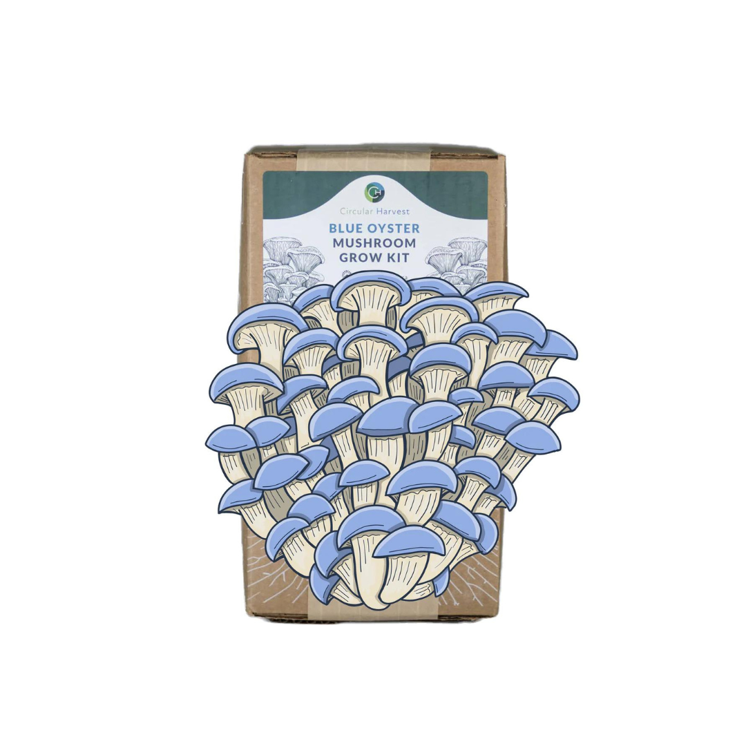 Circular Harvest Farm Co. - Mushroom Grow Kit