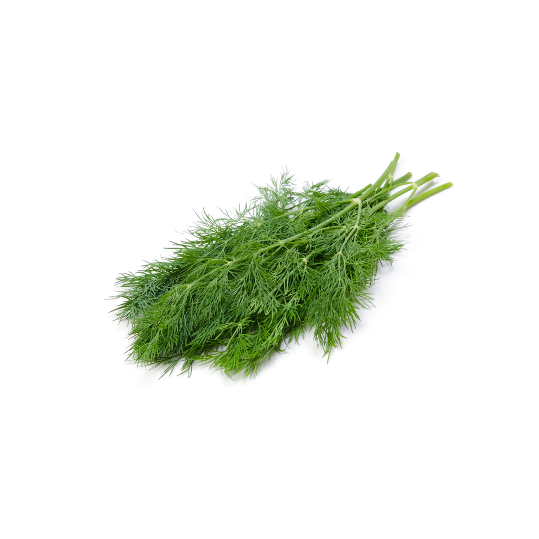 ARocha Farm - Dill (per bunch)