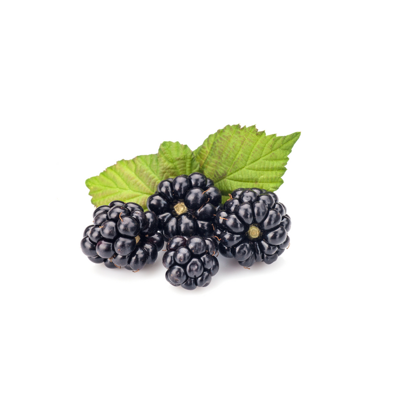 Fresh Produce - Organic Blackberry (container)