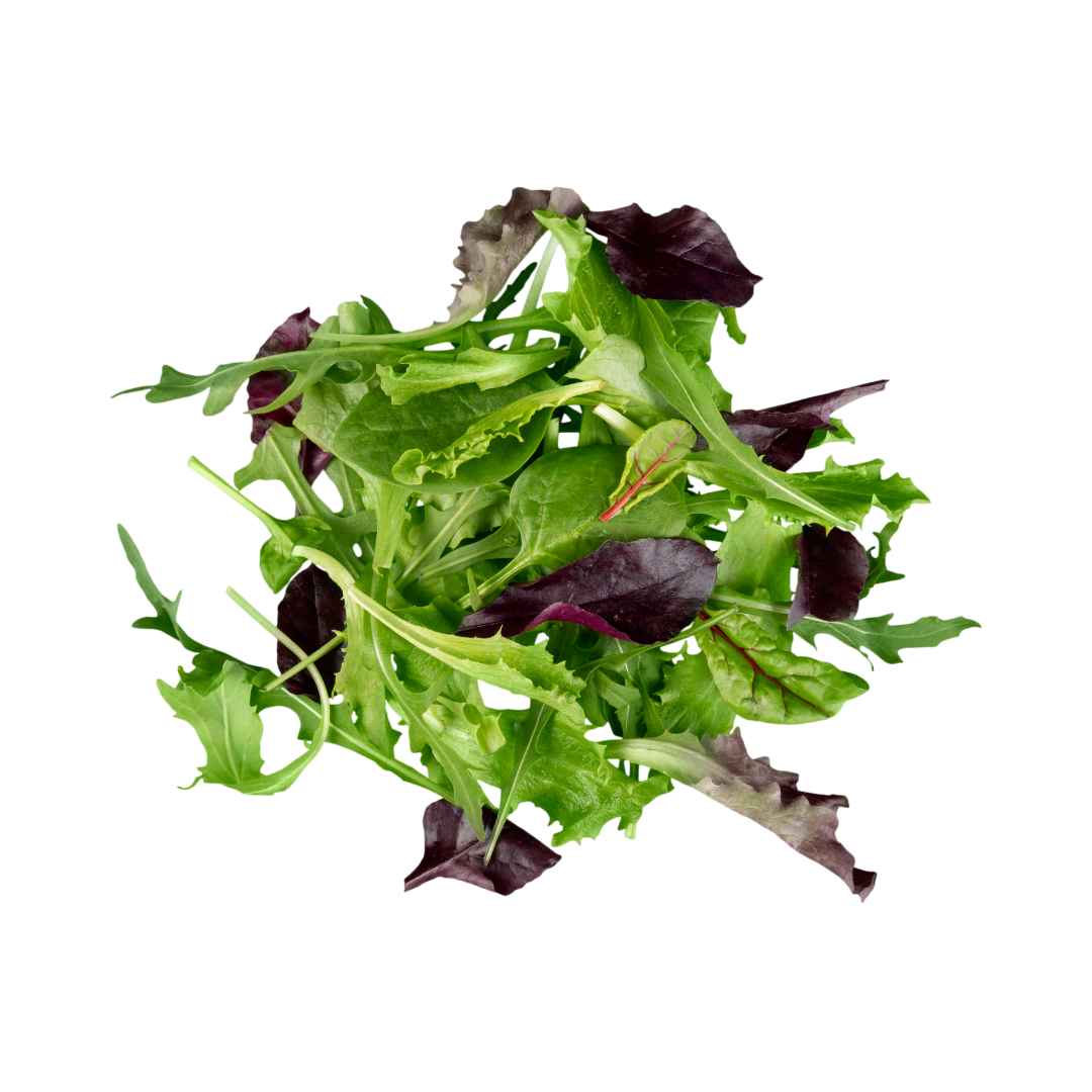 Fresh Produce - Spring Mix (container)