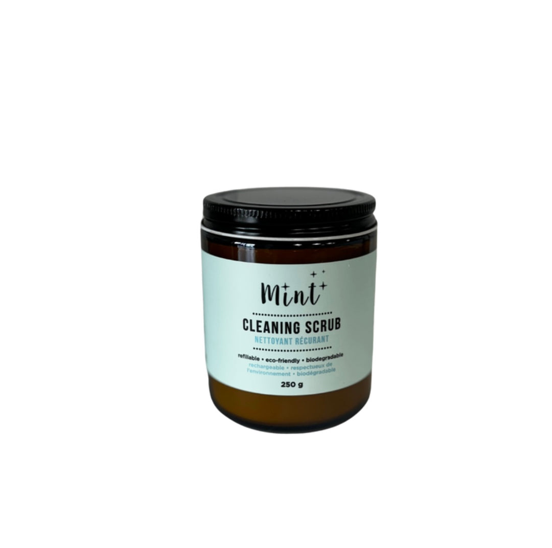 Mint Cleaning - Cleaning Scrub