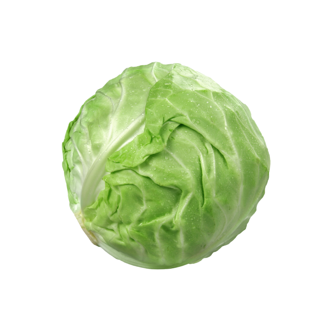 ARocha Farm - Green Cabbage