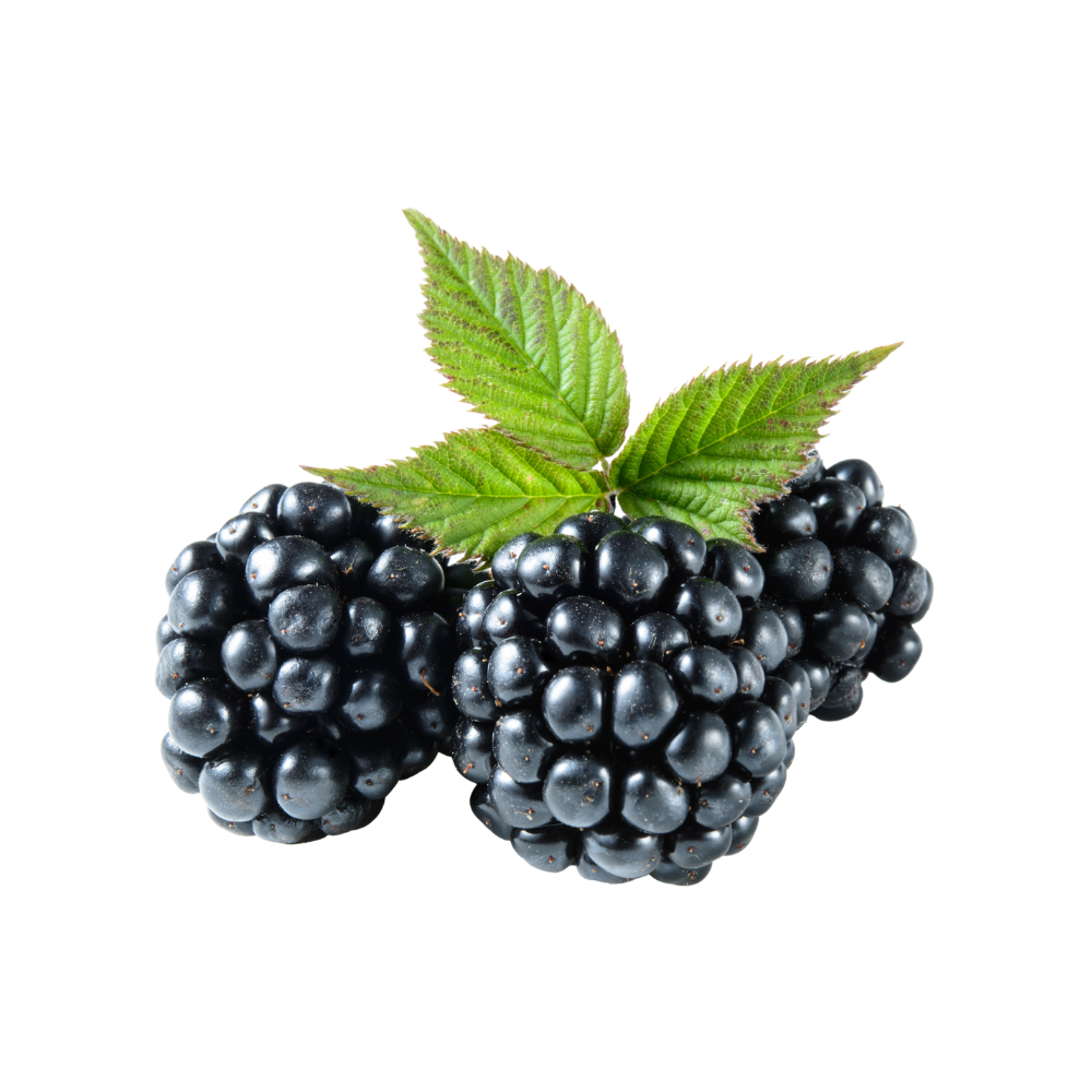 Fresh Produce - Blackberries (12oz container)