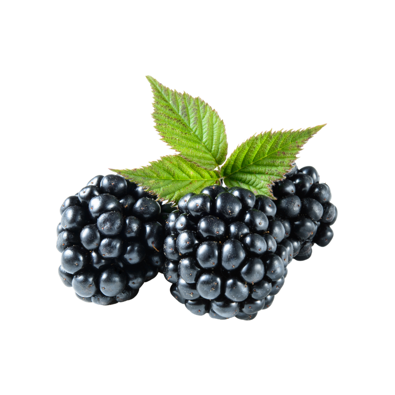 Fresh Produce - Blackberries (6oz)