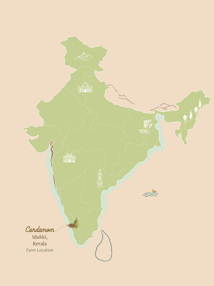 Love People - Wild Cardamom