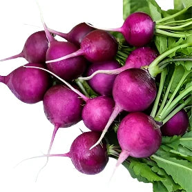 ARocha Farm - Purple Radish (per bunch)