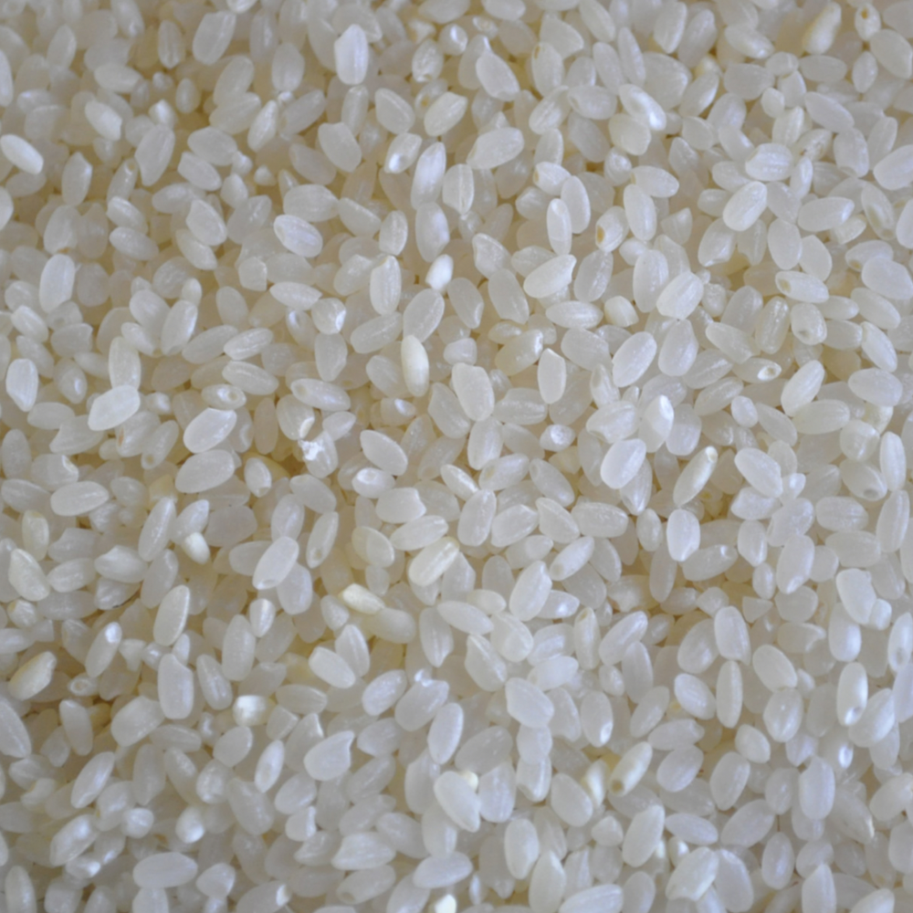 Bulk Goods - Organic Sushi Rice (per lb)