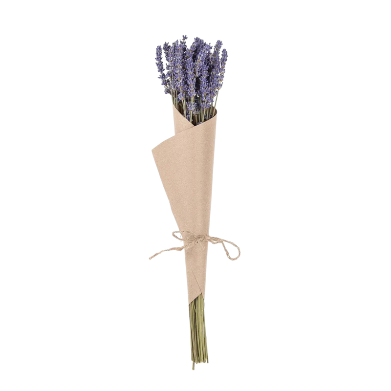 Provence en Couleur - Dried Lavender Bouquet