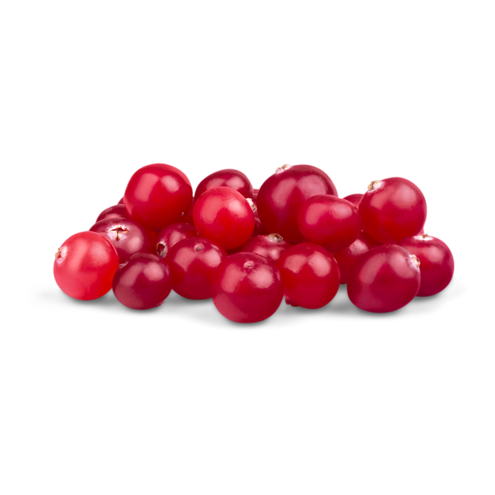 The Bog - BC Grown Cranberries (1lb)