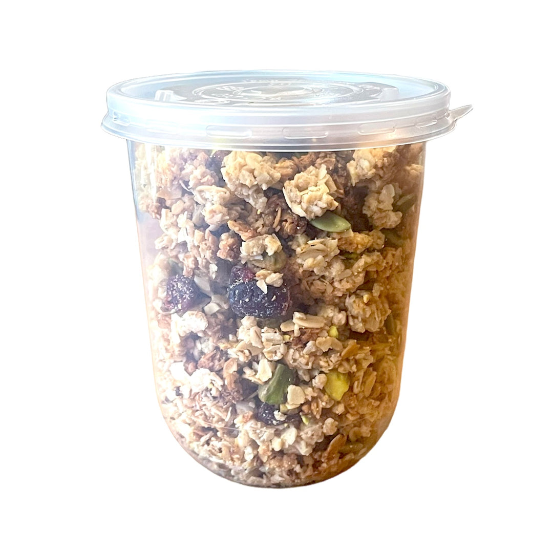 Earthling Foods - Gluten Free Low Sugar Granola (200g)